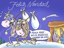 paco alvarez la bolsa y la vida